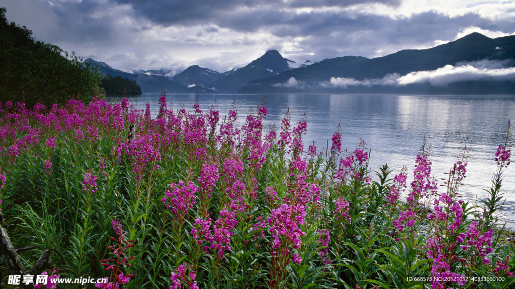 花海