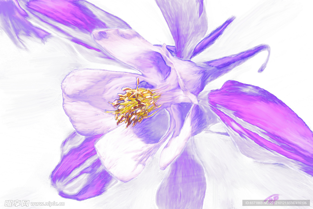 花卉