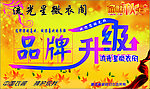 品牌升级