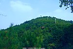 麓湖山 风景
