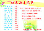 饮马山庄茶苑价格表