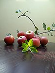 红苹果(非高清)