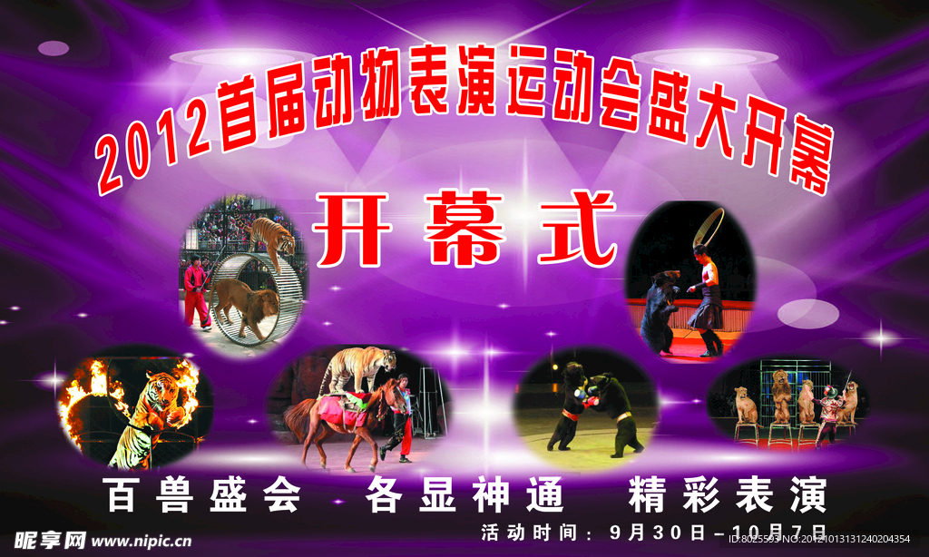 动物乐园