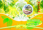 自然环境保护生态平衡