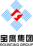 宝鹰集团Logo