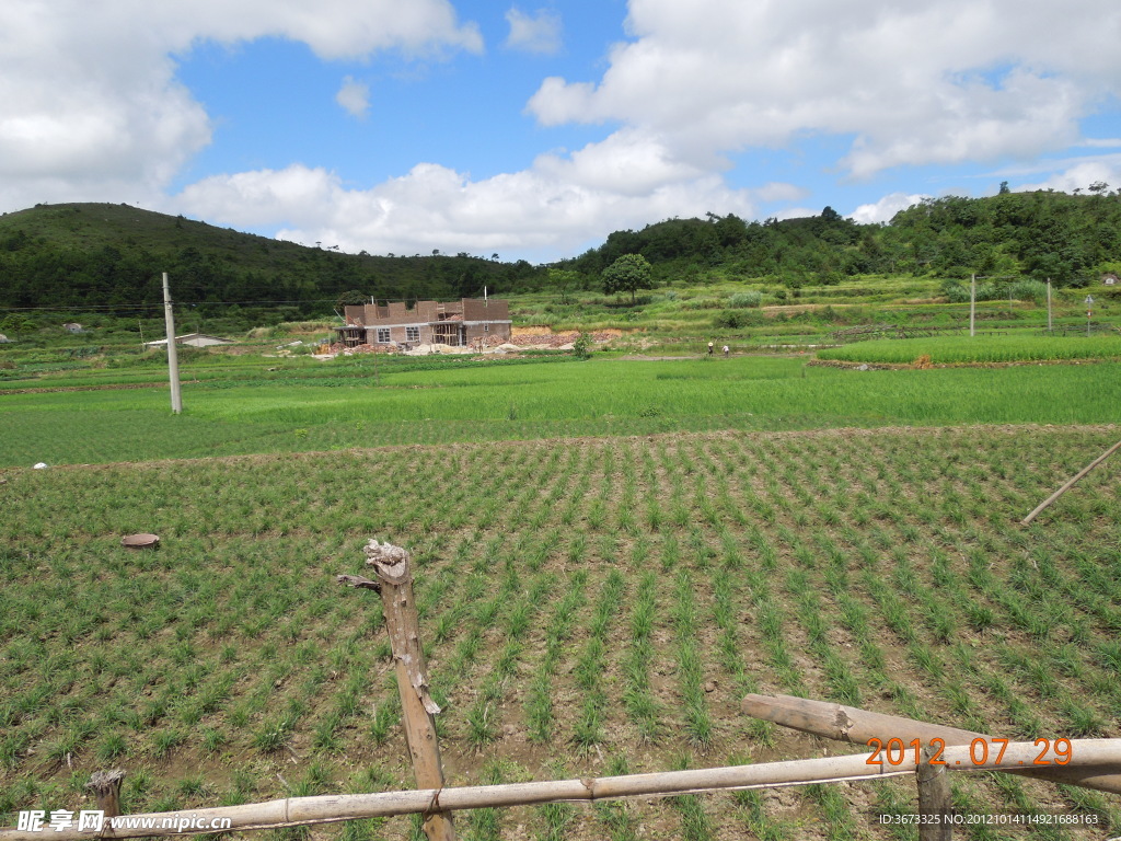 田园风光