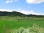 田园风光
