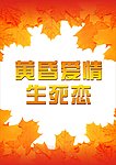 枫叶 爱情