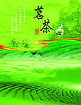 茗茶海报
