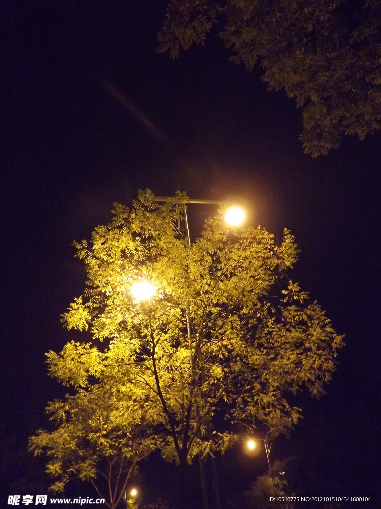 夜晚 路灯