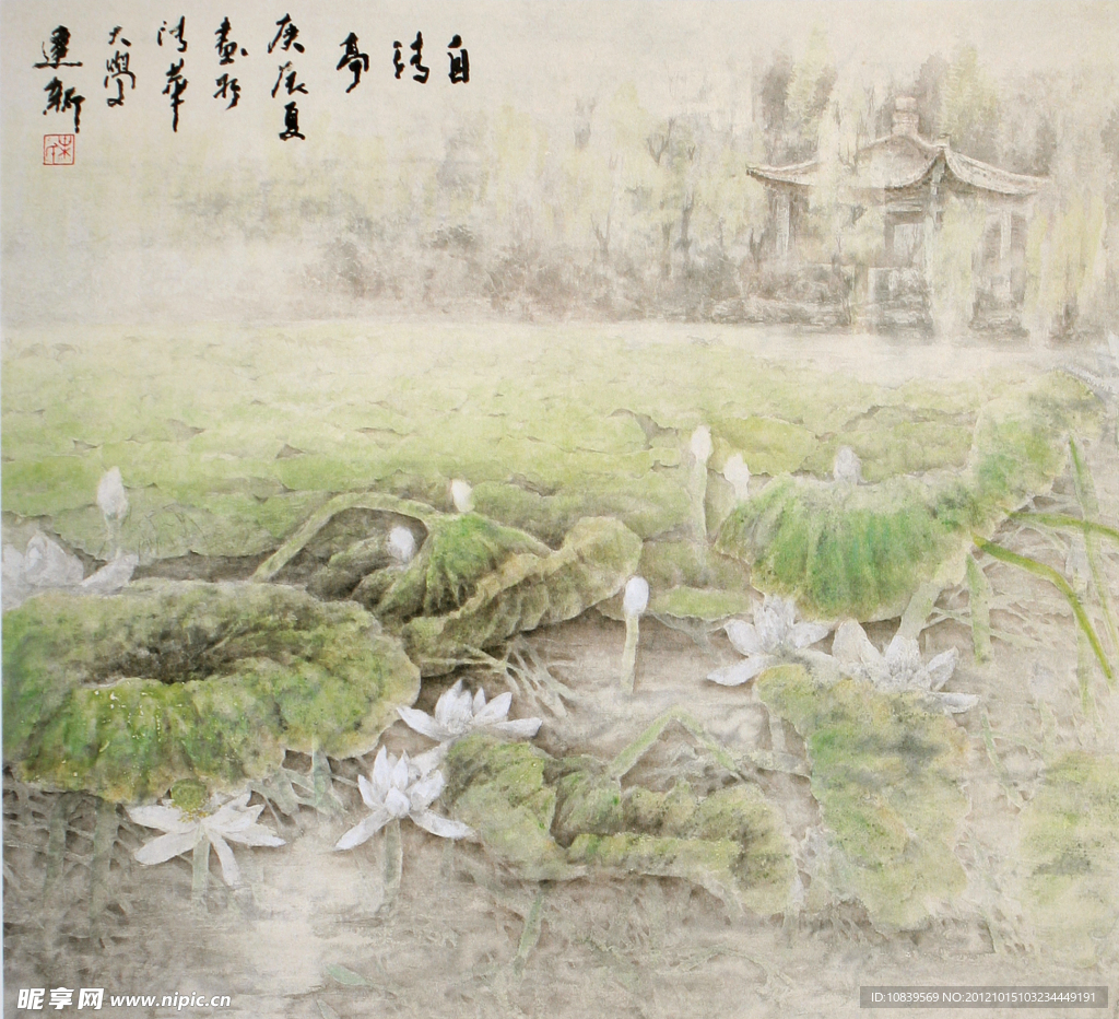 清华园池塘