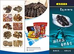 干海产品 海参三折页