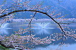 湖畔