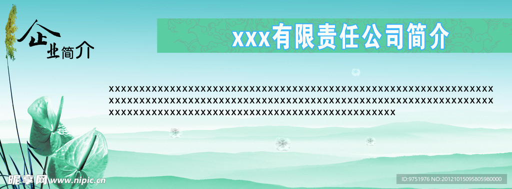 公司简介 背景