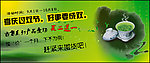 古方茶疗促销