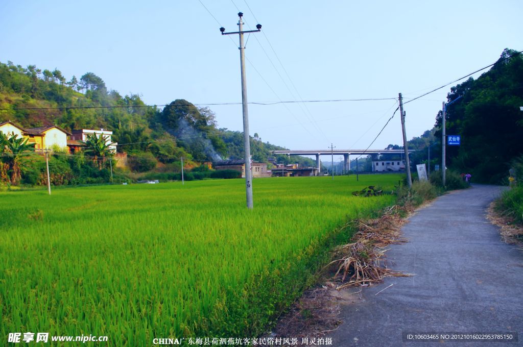 田园风光 梅县荷泗蕉坑