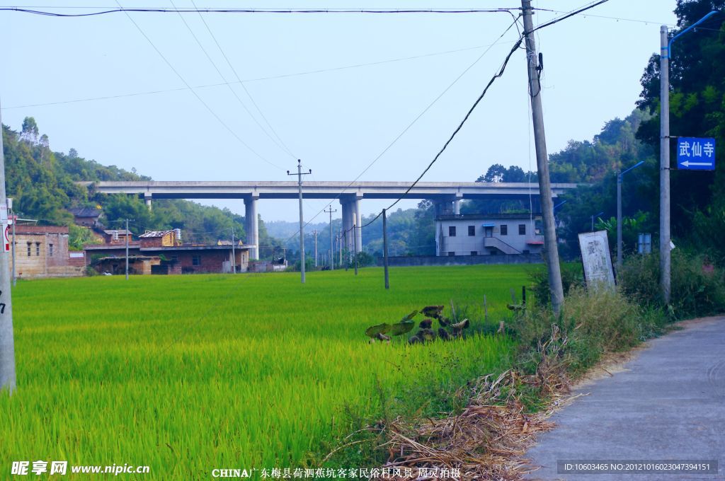 田园风光 梅县荷泗蕉坑