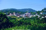 雁南飞 景区民居果园