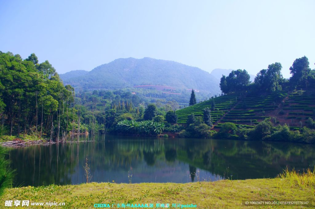 雁南飞 山水风光