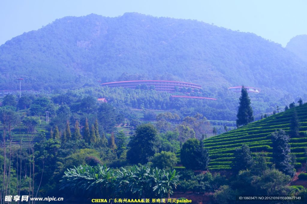 雁南飞 山水风光