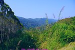 雁南飞 山水风光