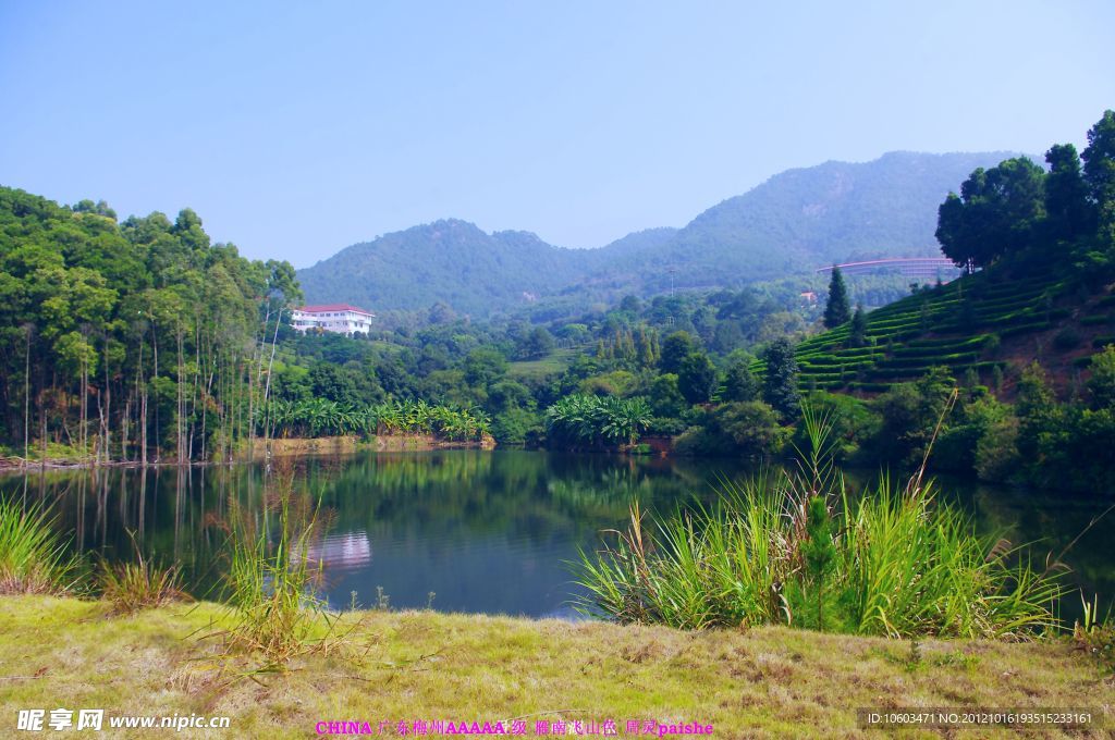 雁南飞 山水风光