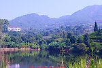 雁南飞 山水风光