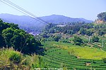 雁南飞 度假村外景