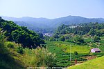 雁南飞 度假村外景