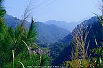雁南飞景观