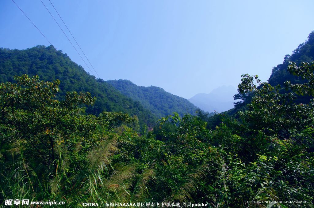 雁南飞景观