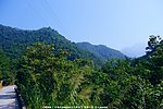 雁南飞景观