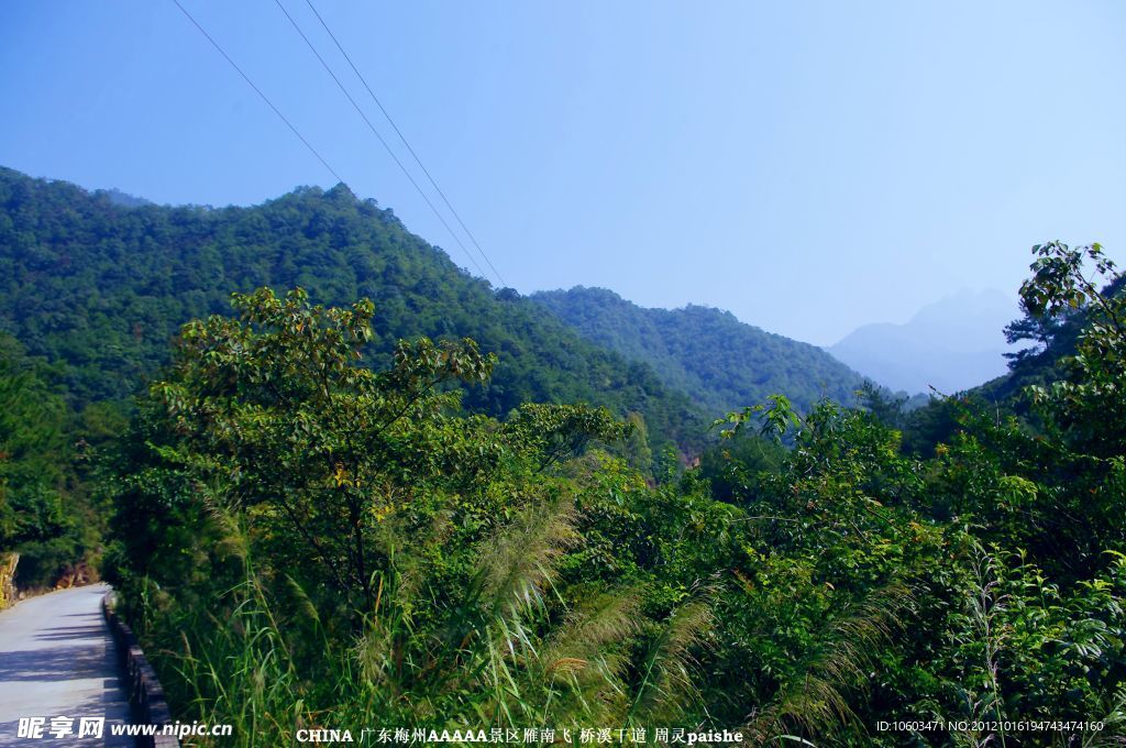 雁南飞景观