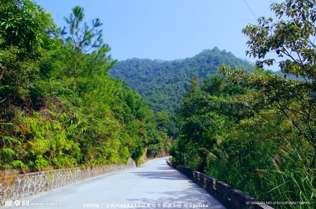 雁南飞 桥溪路途风景