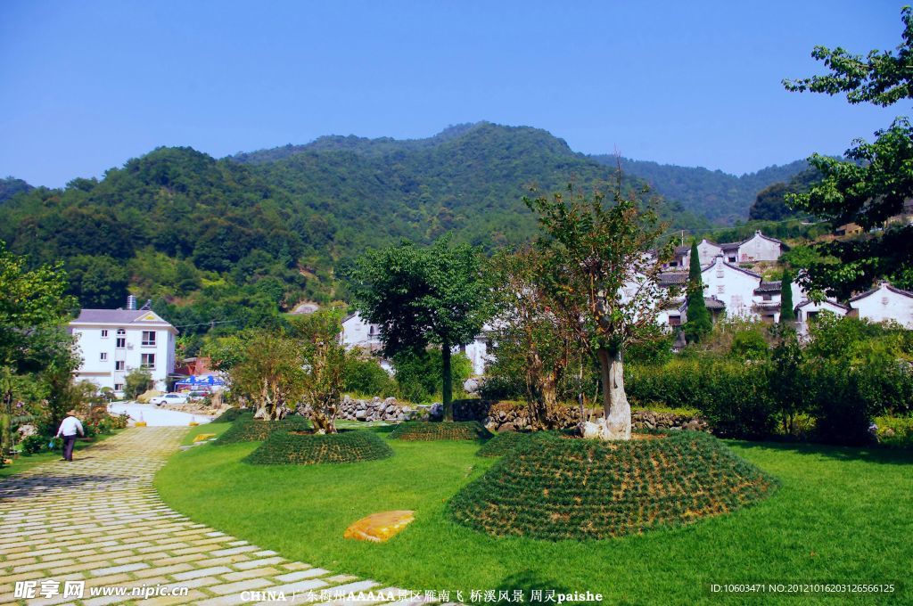 桥溪村风景