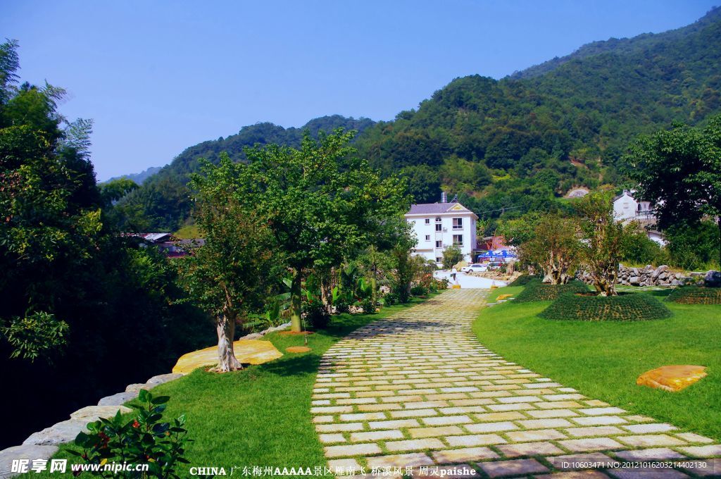 桥溪村风景