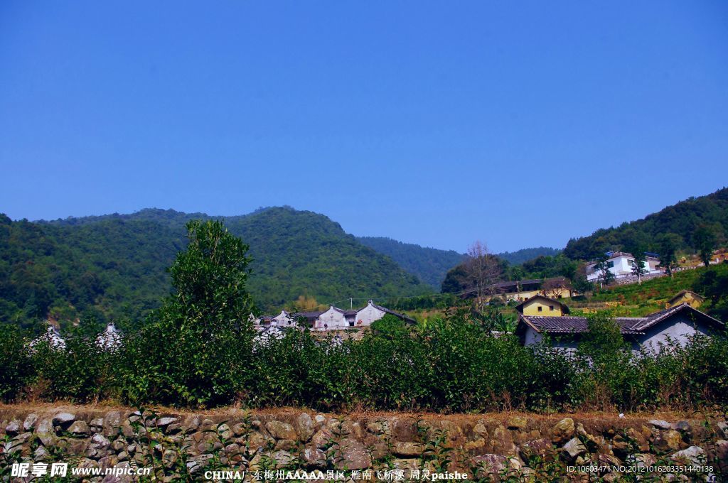 桥溪村风景