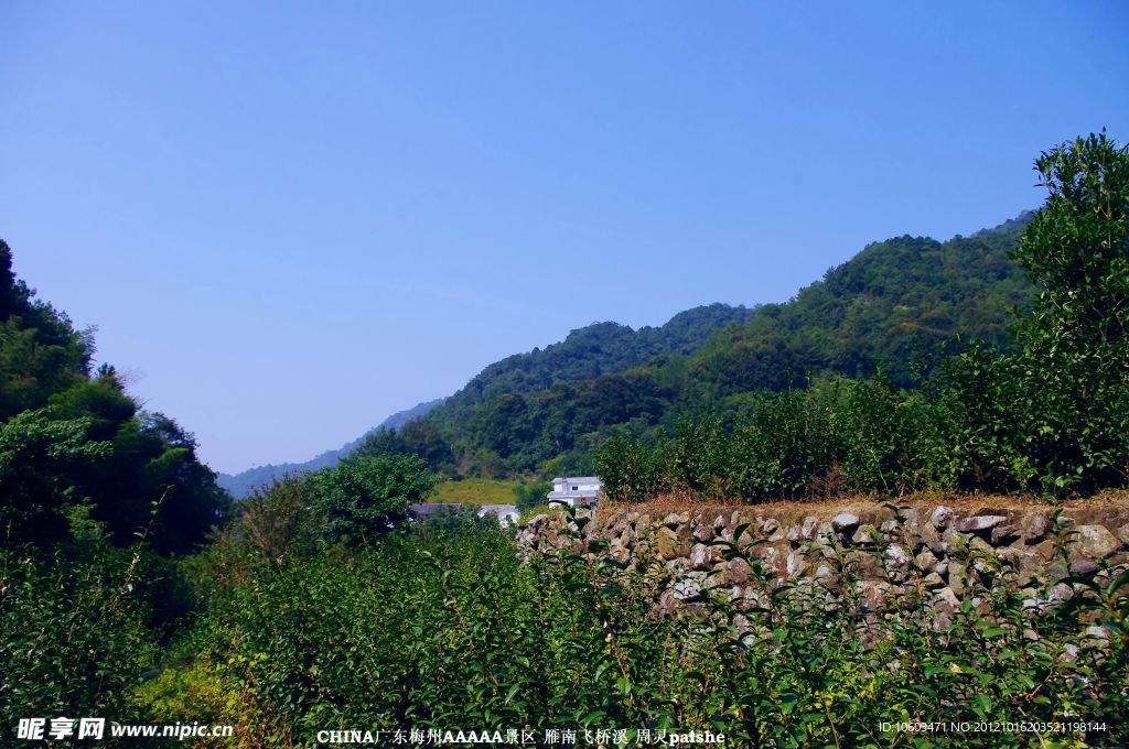 桥溪村风景