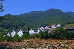 桥溪村风景