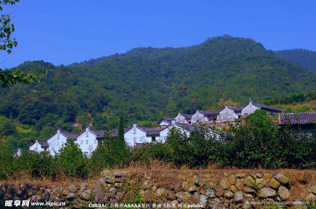 桥溪村风景