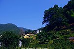桥溪村风景
