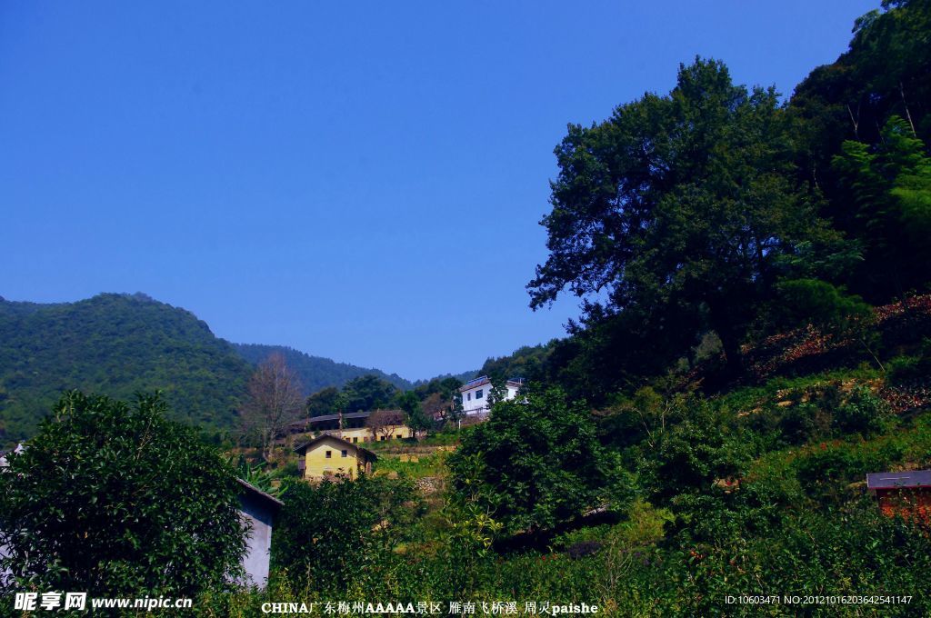 桥溪村风景