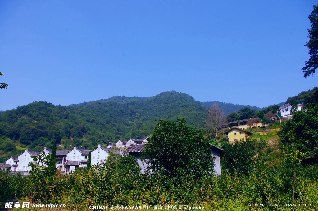 桥溪村风景