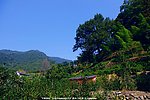 桥溪村风景