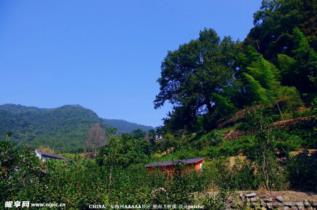 桥溪村风景