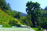 桥溪村风景