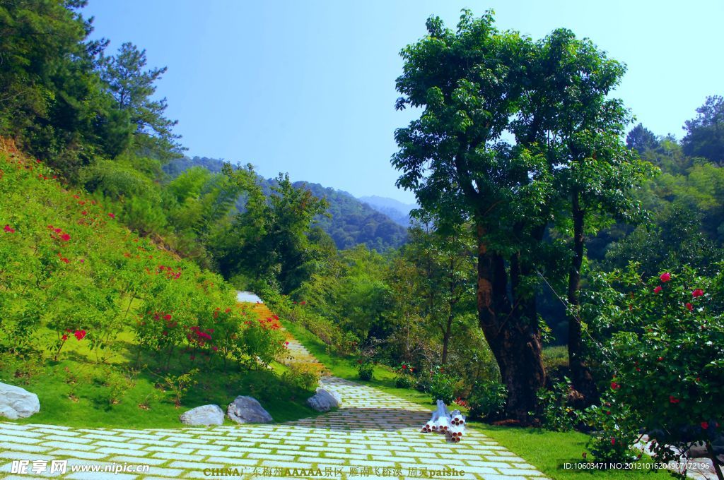 桥溪村风景