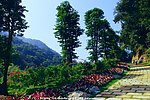 桥溪村风景