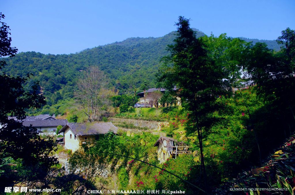 雁南飞 桥溪风景