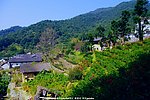 雁南飞 旅途风景